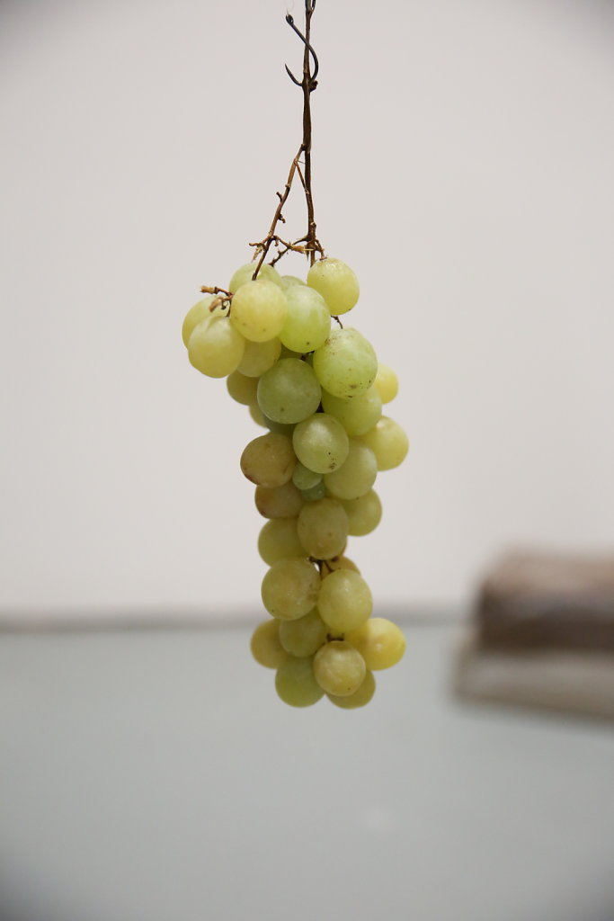Nous-ne-sommes-rien-soyons-tout-Scopelo5X8A4693.JPG