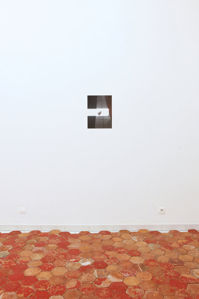 IMG-8930.jpg